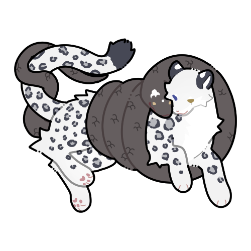 설표 도트